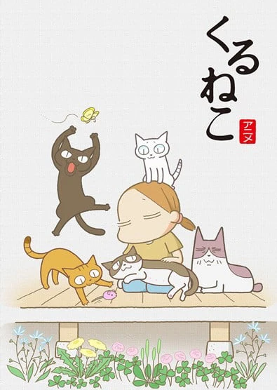 来来猫