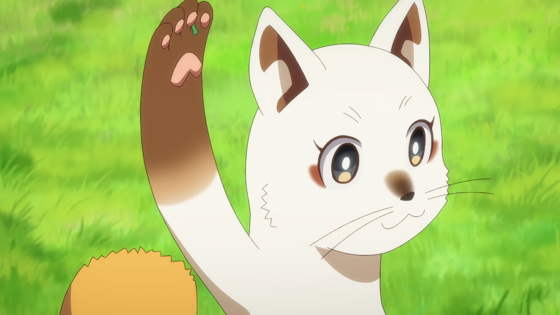 楠木邸的神明庭院 第2话