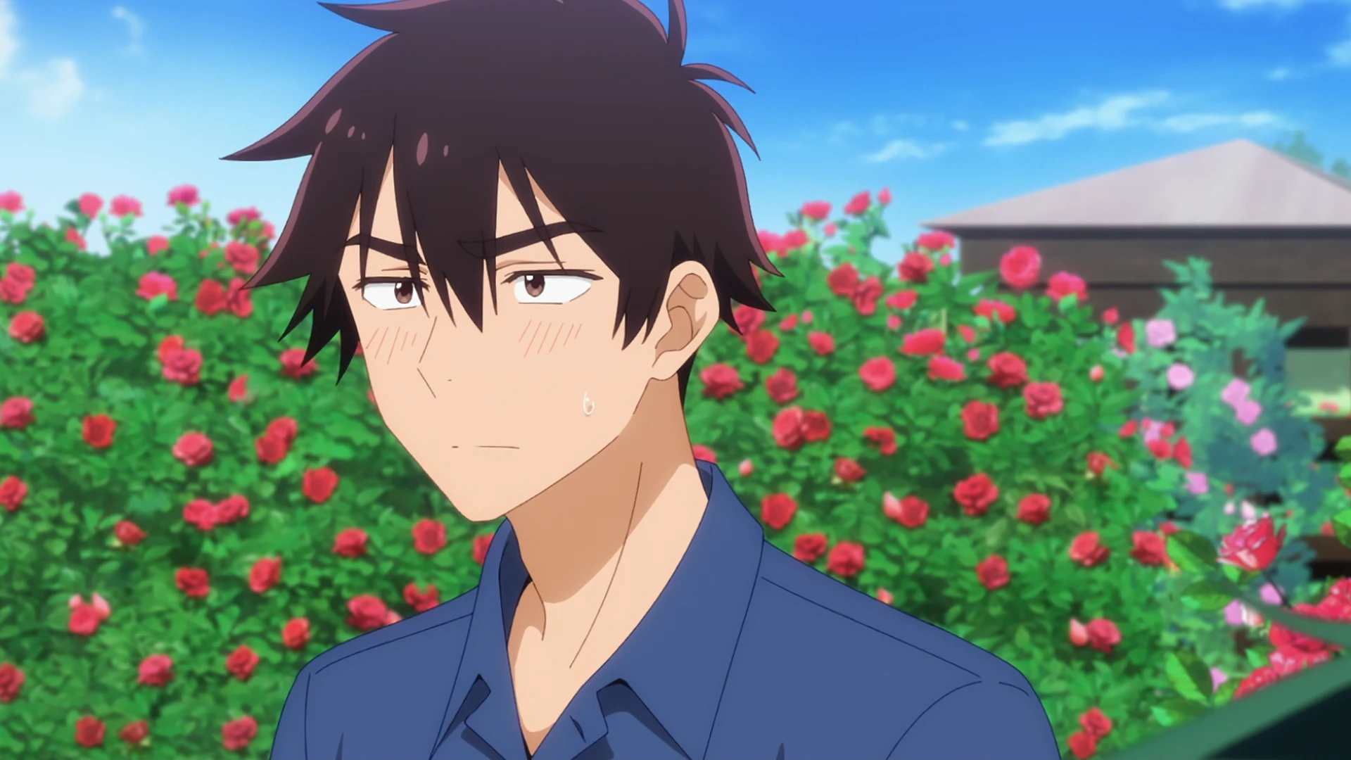 紫云寺家的孩子们 第11话